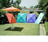 Printed Umbrella, Demo Tents, Standies, Roller Banners