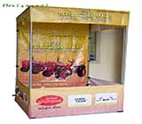 Printed Umbrella, Demo Tents, Standies, Roller Banners